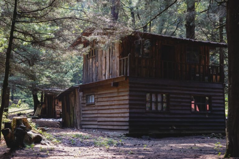 Cabaña de madera de dos plantas entre pinos en un bosque cercano a la Ciudad de México