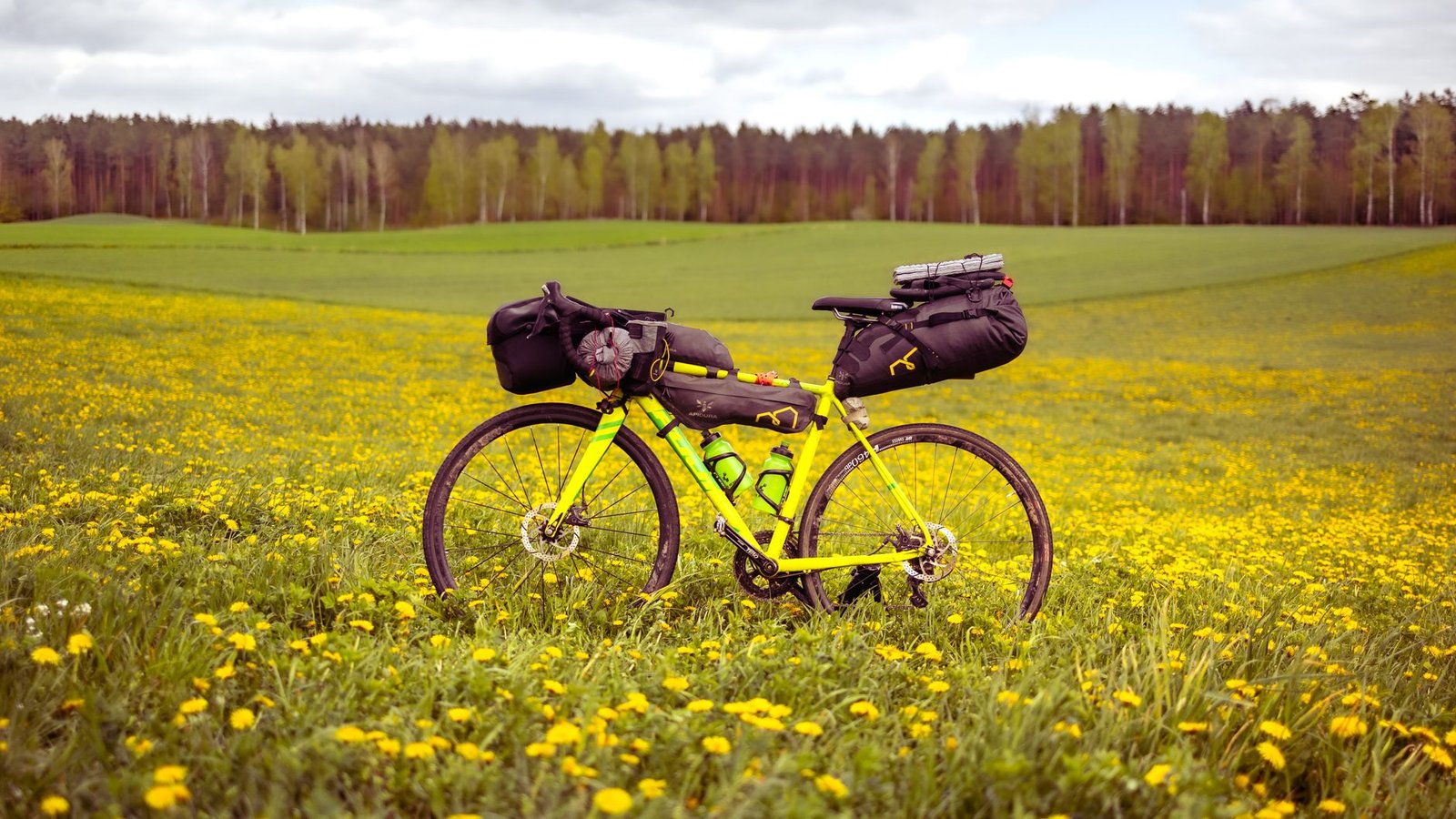 Bicicleta preparada para un viaje de bikepacking en un prado de flores amarillas