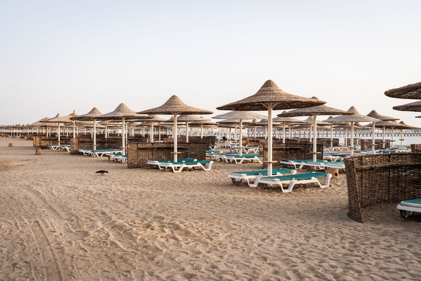Sombrillas de paja en la playa de Hurghada, en el mar Rojo, Egipto
