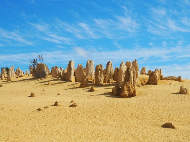 Formaciones de piedra caliza del desierto de Pinnacles en Australia Occidental