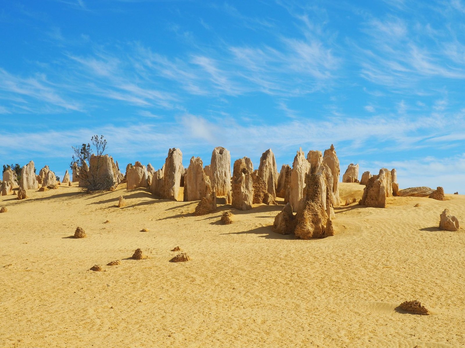 Formaciones de piedra caliza del desierto de Pinnacles en Australia Occidental