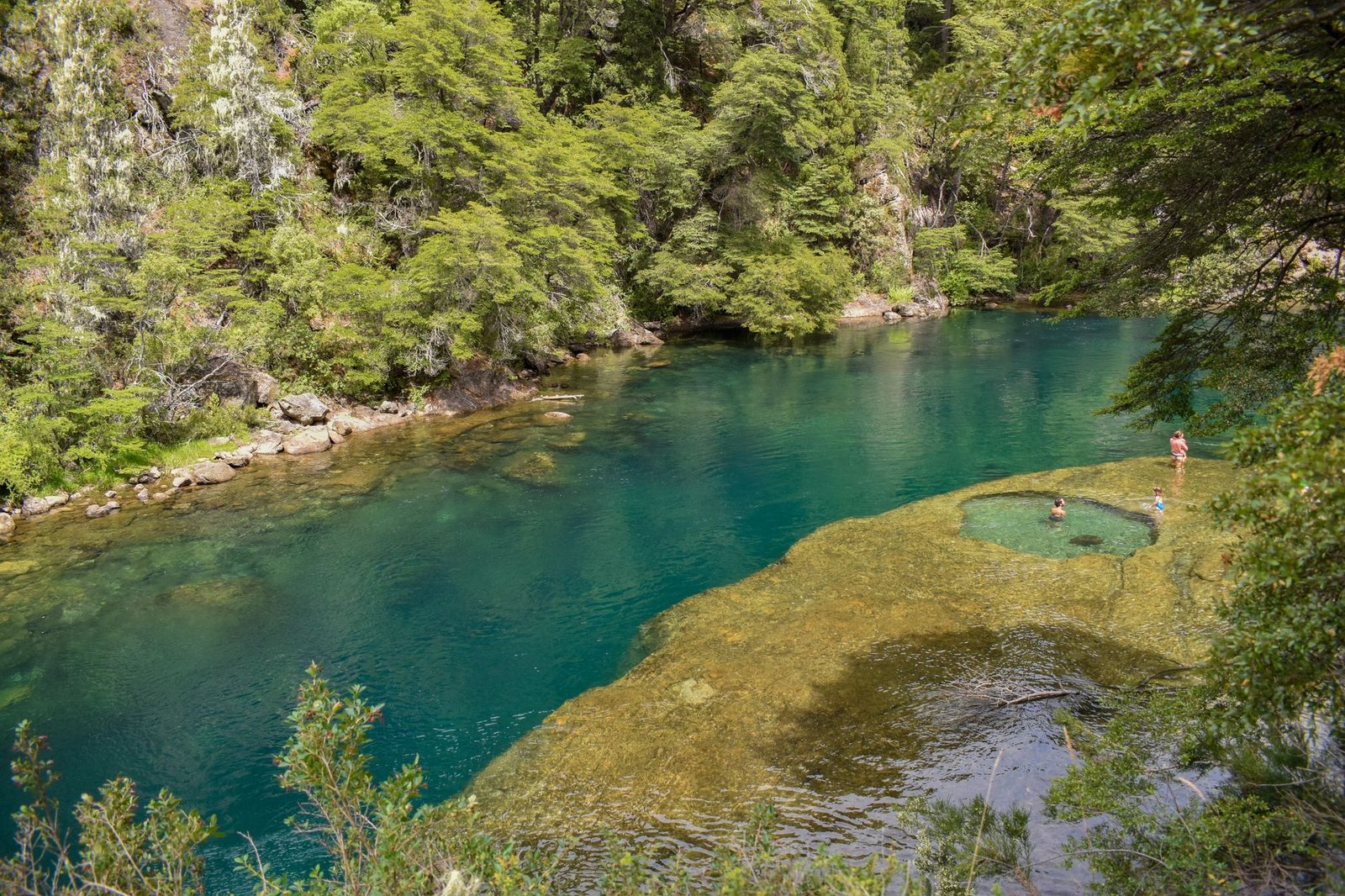 Río de aguas cristalinas de manantial rodeado de selva, como el de Las Estacas en Morelos