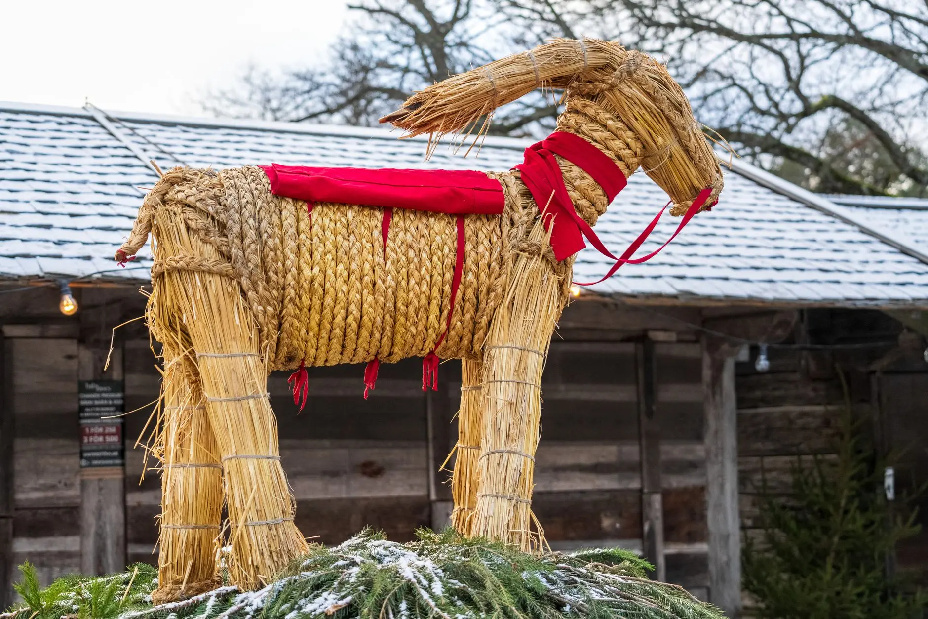 Cabra de paja sueca, símbolo tradicional de la Navidad