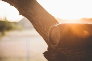 Altavoz Bluetooth resistente al agua colgado de una rama al atardecer, ideal para camping y playa